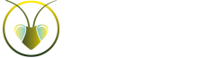 Amantis Informática