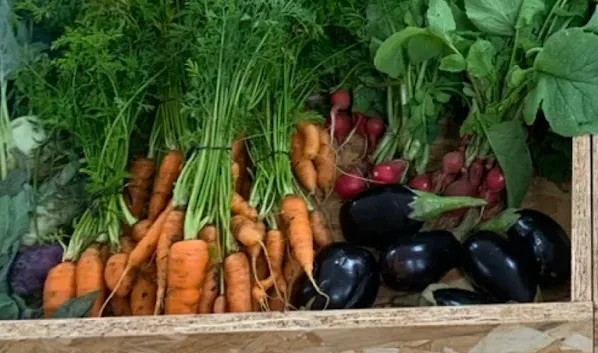 Verdura de la huerta